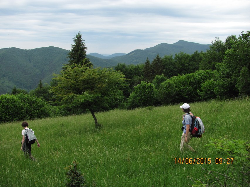 img00016.jpg