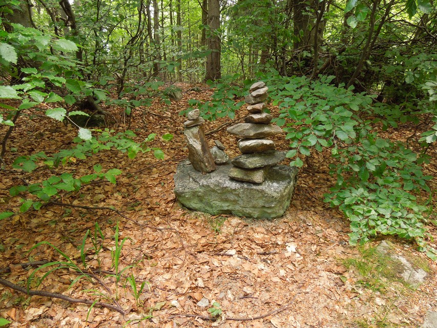 img00025.jpg