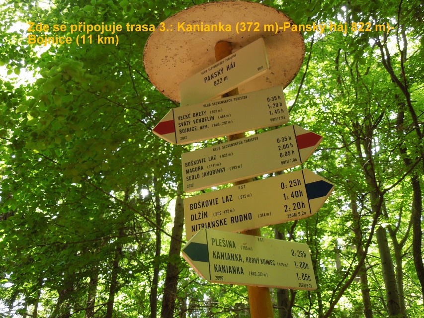 img00035.jpg