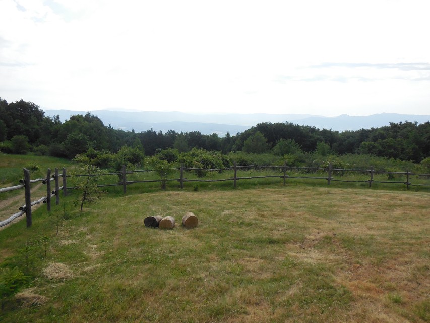 img00040.jpg