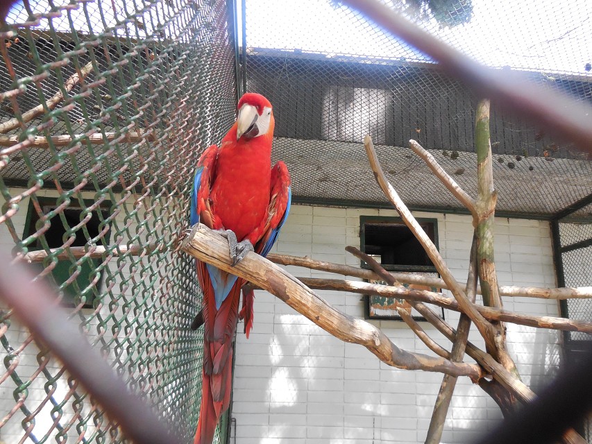 img00062.jpg