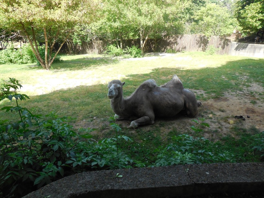 img00066.jpg