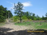 thn00046.jpg