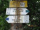 thn00125.jpg