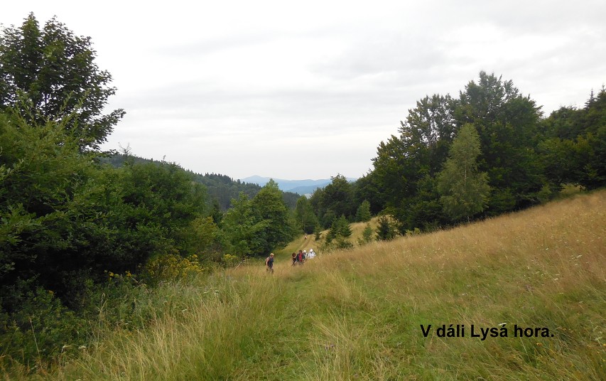 img00014.jpg