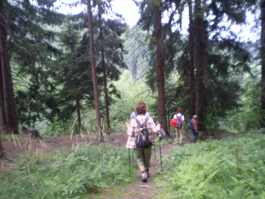 img00004.jpg