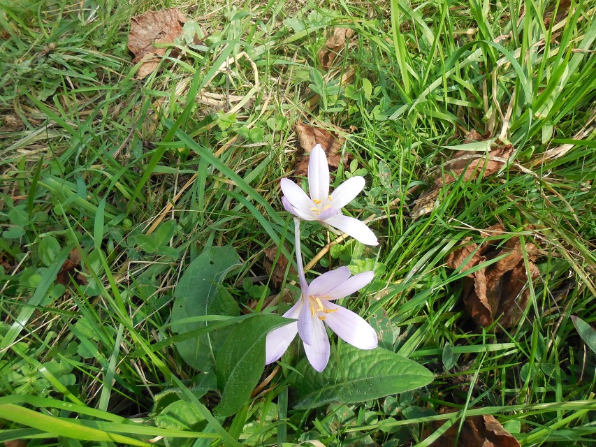 img00026.jpg