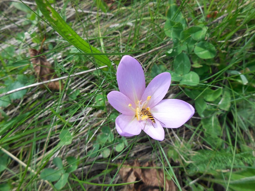 img00027.jpg