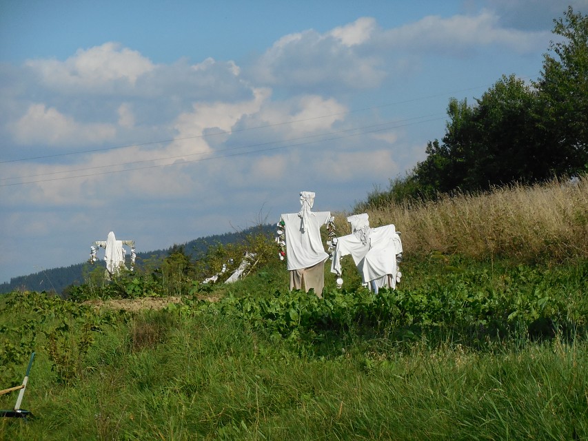 img00062.jpg