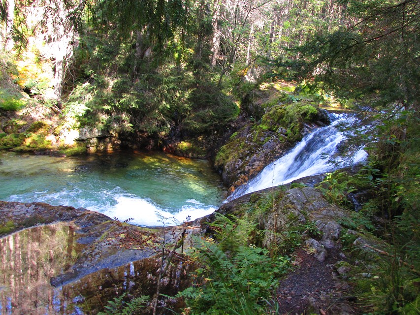 img00006.jpg