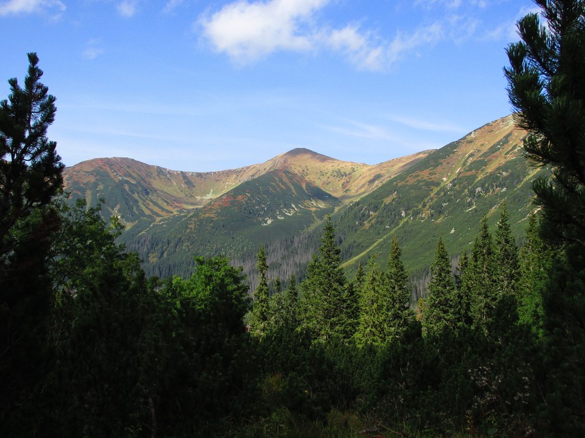 img00009.jpg