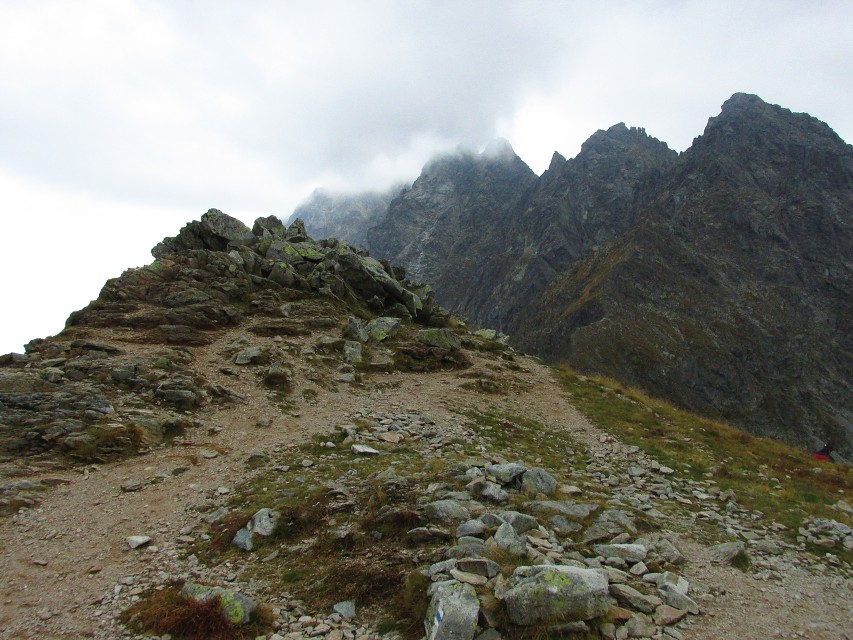 img00015.jpg