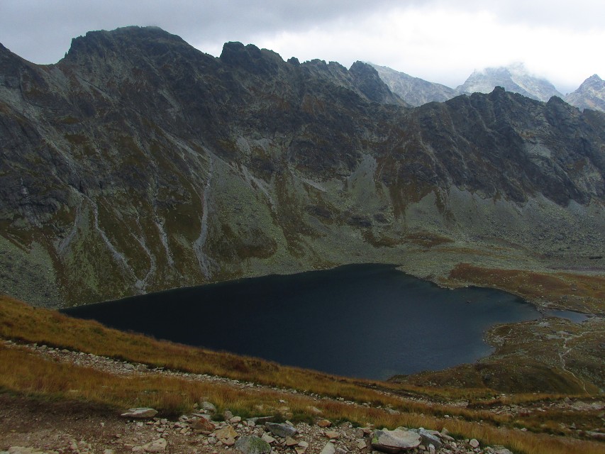 img00016.jpg
