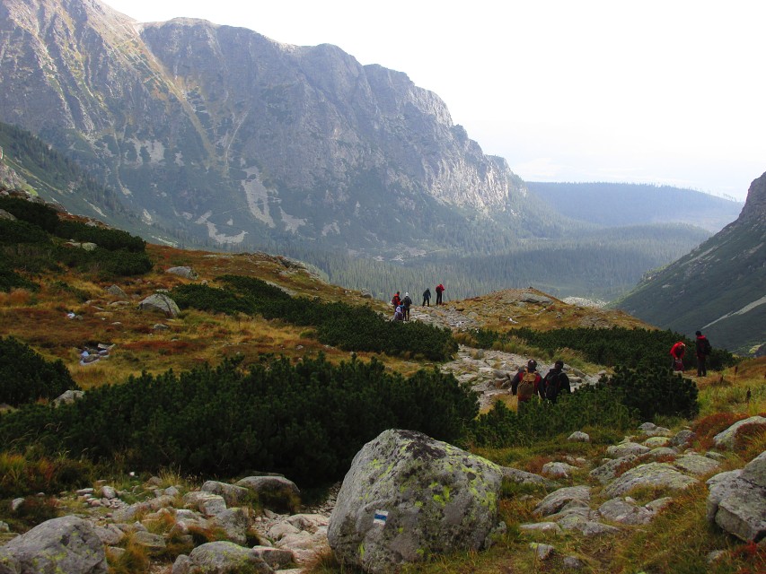 img00027.jpg