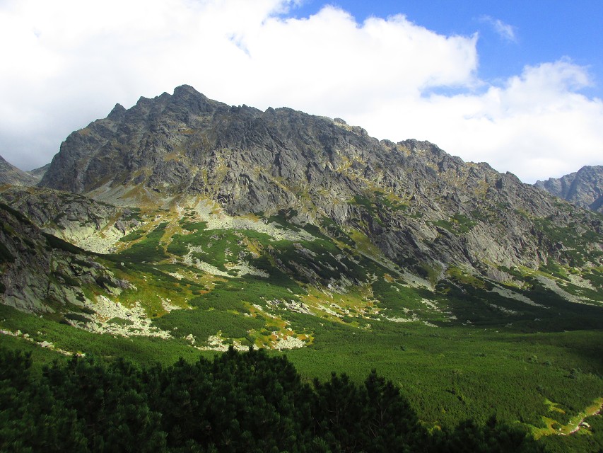 img00029.jpg