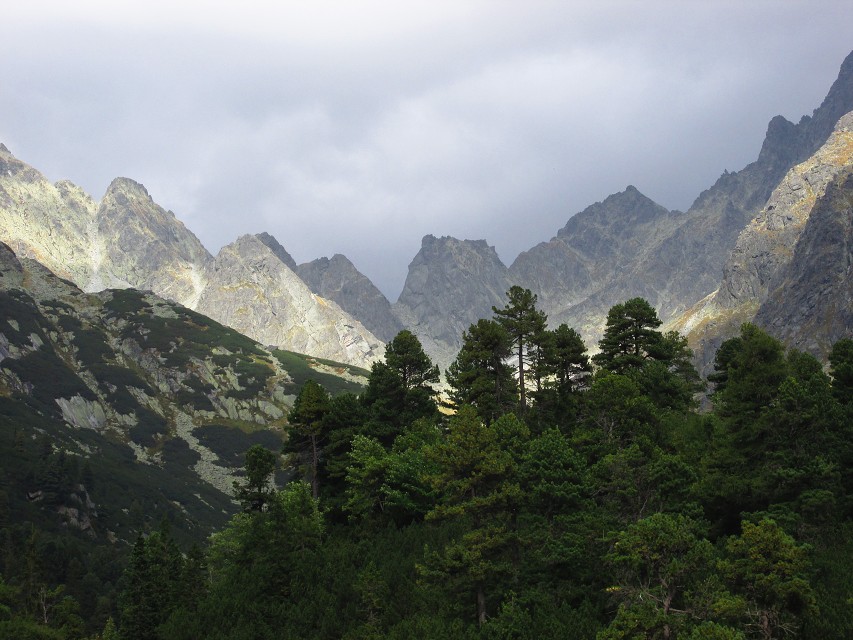 img00037.jpg