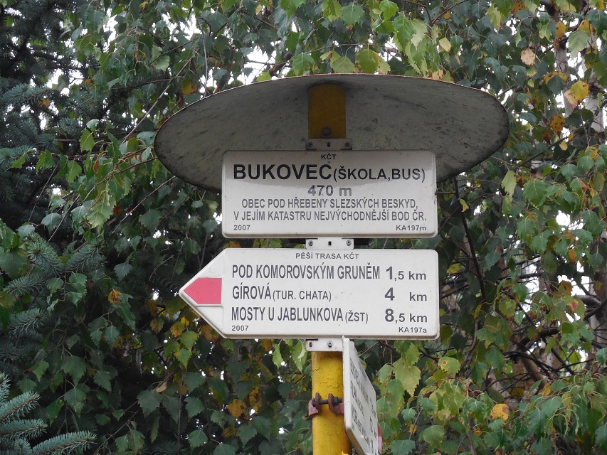 img00002.jpg
