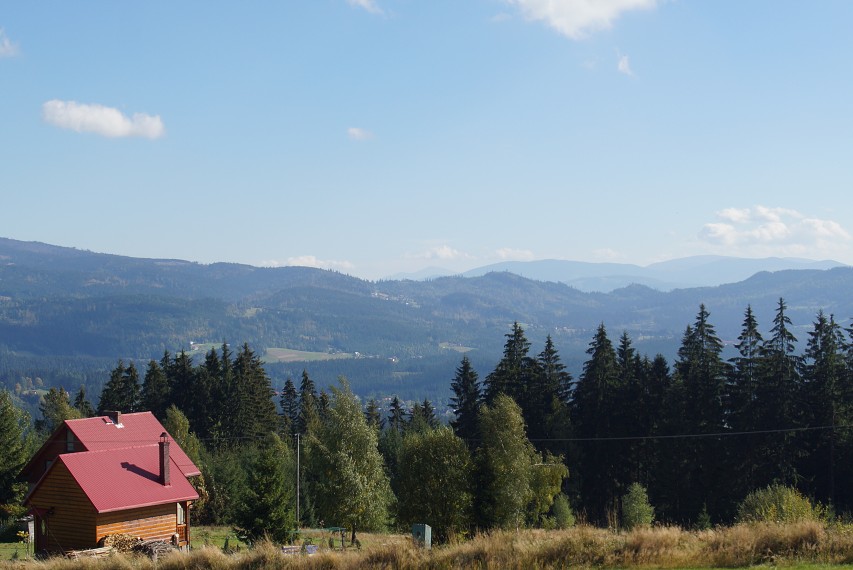 img00007.jpg
