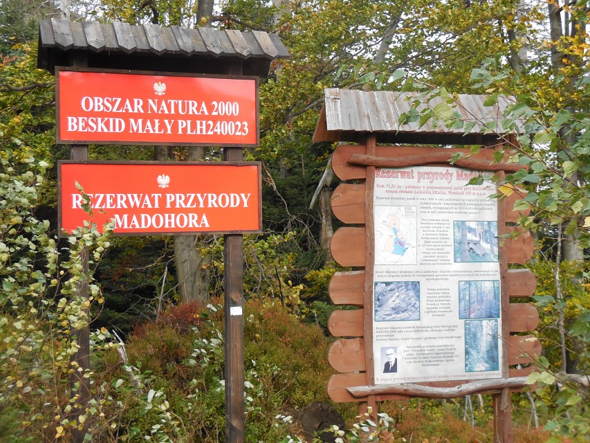 img00022.jpg