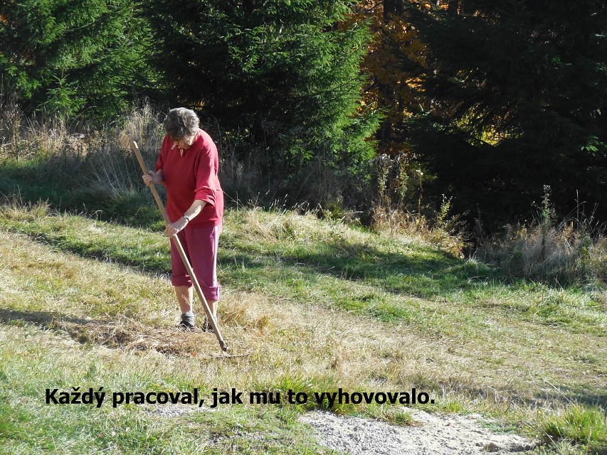 img00019.jpg