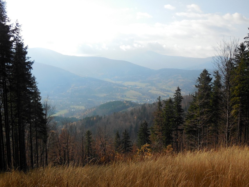 img00025.jpg