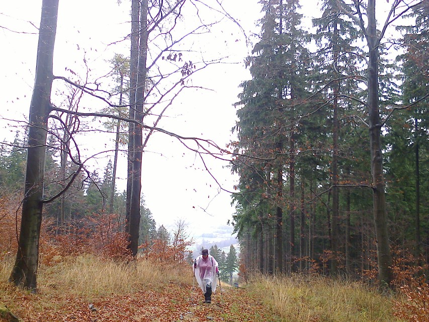 img00005.jpg