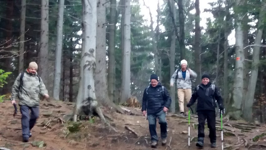 img00007.jpg