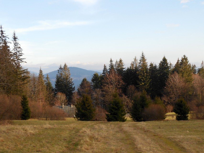 img00023.jpg