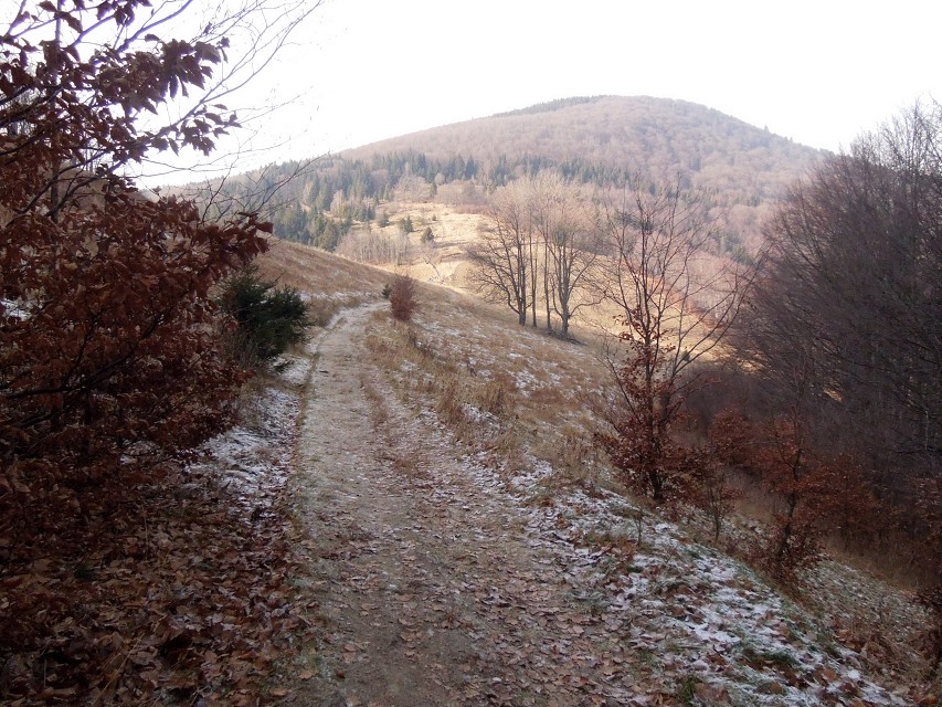 img00004.jpg