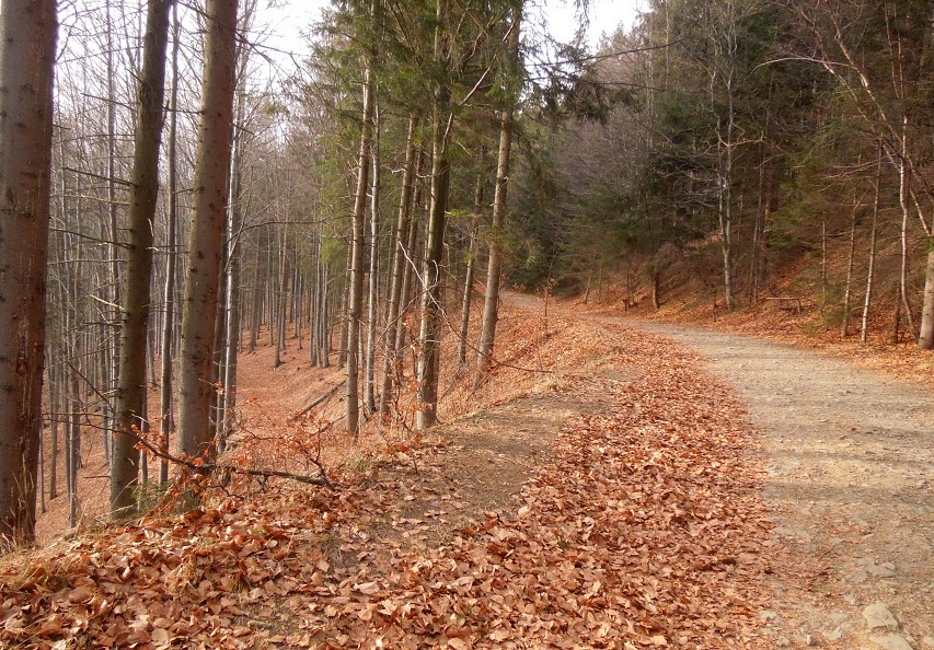 img00008.jpg