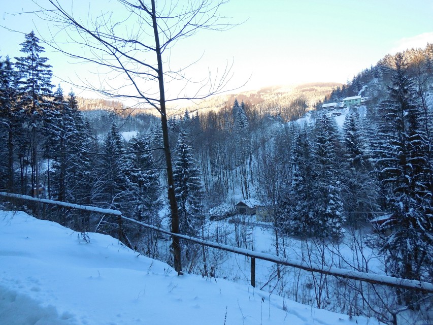 img00006.jpg