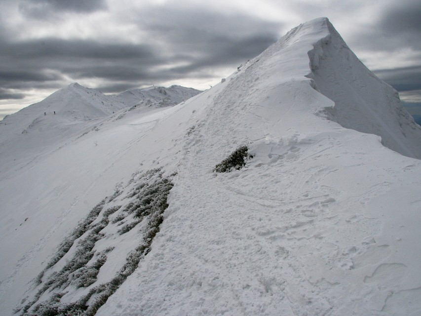 img00013.jpg