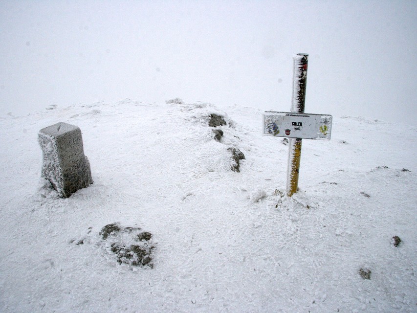 img00036.jpg