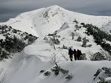 thn00005.jpg