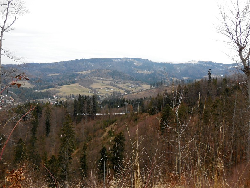 img00012.jpg