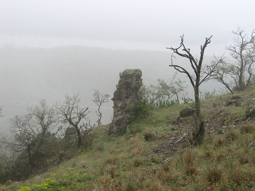 img00028.jpg