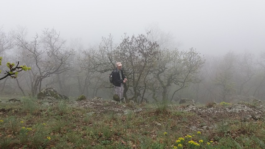img00029.jpg
