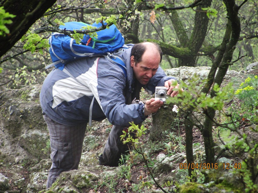 img00033.jpg