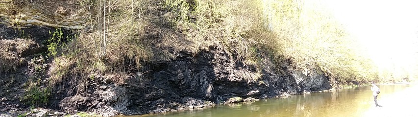 img00033.jpg