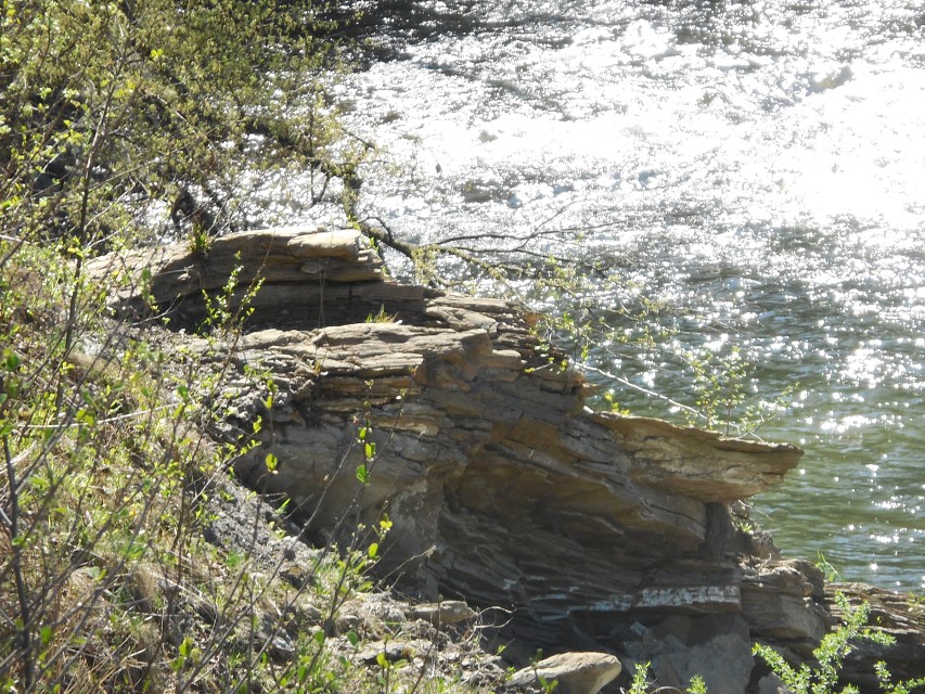 img00038.jpg