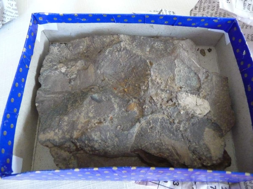 img00042.jpg