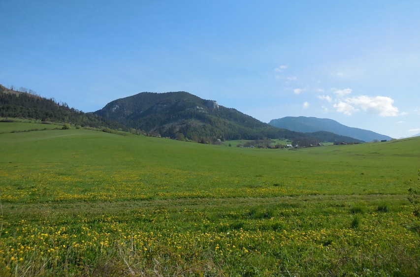 img00005.jpg