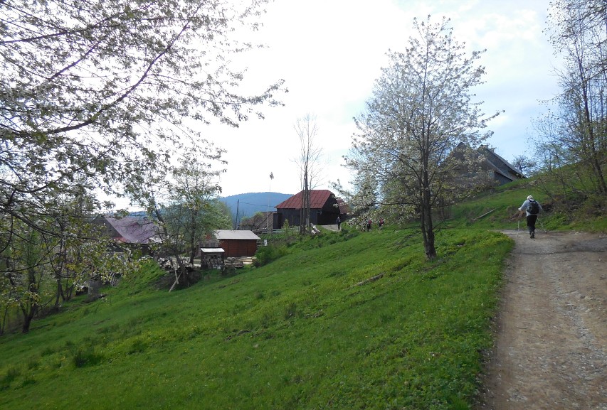 img00007.jpg