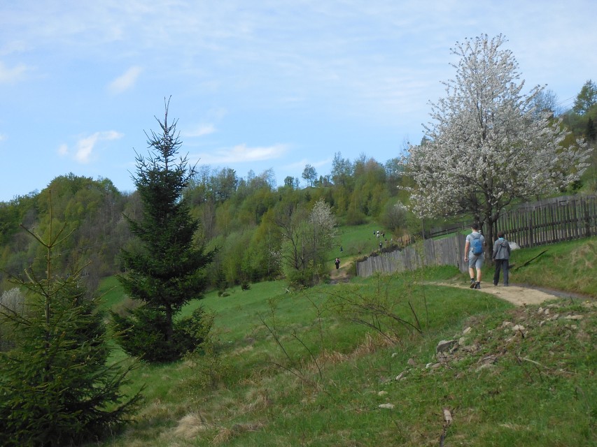 img00009.jpg