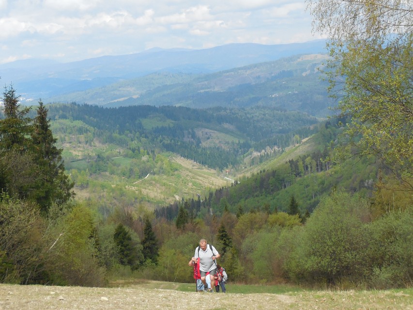 img00021.jpg