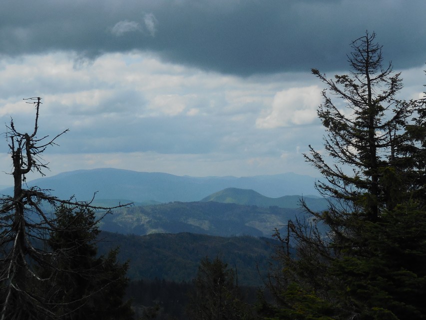 img00027.jpg