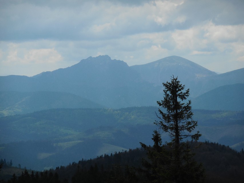 img00033.jpg