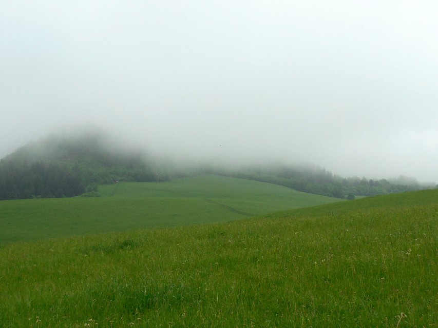 img00006.jpg