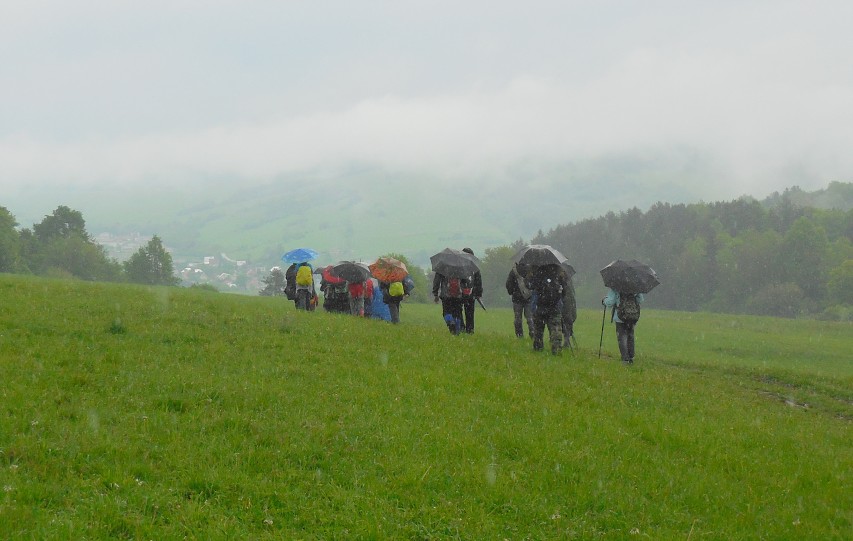 img00017.jpg