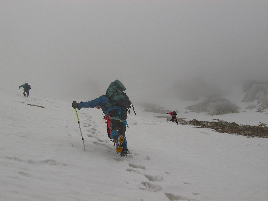 img00019.jpg
